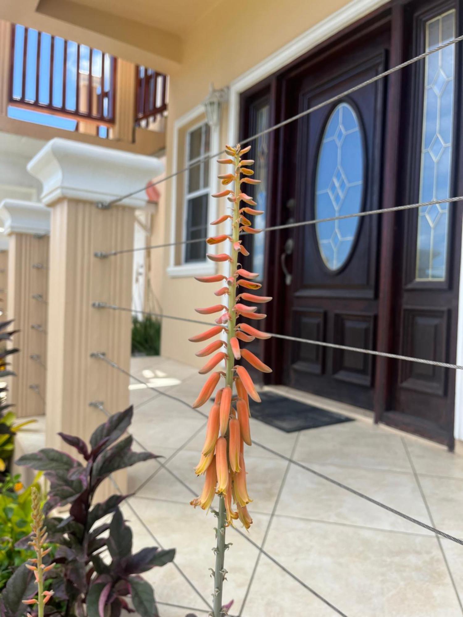 Ferienwohnung Belle Breeze Haven Gros Islet Exterior foto
