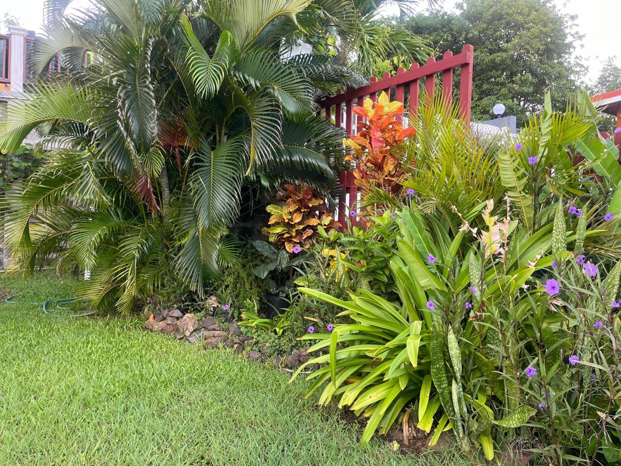 Ferienwohnung Belle Breeze Haven Gros Islet Exterior foto